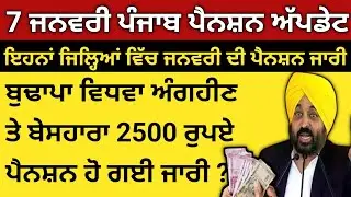 07-01-2026 Punjab Budapa Pension News Update Today.