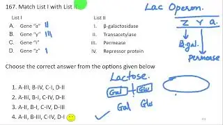 NEET 2023 Q.167. Lac operon - beta galatosidase - permease - transacetylase
