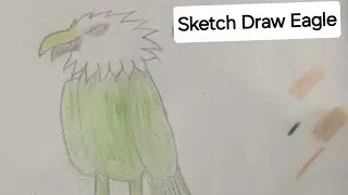 Draw the sketch of Eagle
