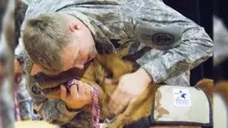 If These Walls Could Talk  |  Stories of Service  |  Justin & Gabe