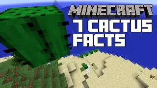Minecraft - 7 Cactus Facts and Tricks You Didn't Know
