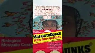 Bacillus thuringiensis: The Organic Gardener's Secret Weapon for Pest Control