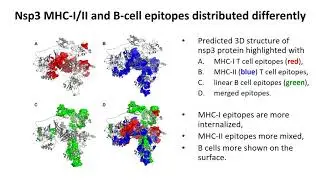 Model Informed Drug Development Approaches for Immunogenicity Assessments Workshop
