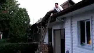 My dog Murphy climbs ladder !