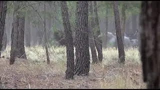 Video promocional Cu&eacute;llar 2021