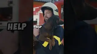 Prayer for Firefighters!