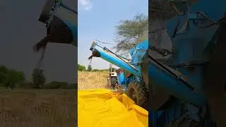 Punni Multi Crop Thresher | Thresher Price 2024 #agriculture #machinery #shorts