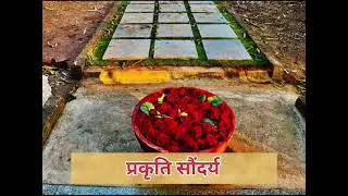 Arka Dhama Gurukula