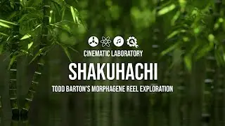 Shakuhachi | Todd Barton's Morphagene Reel.