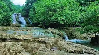 Relaxing Music For Stress Relief, Anxiety and Depressive States🌿🌿 Heal Mind, Sleep Relaxation 13