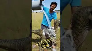 mandiin raptor #trending #lucu #viral #funny #shorts #komedi #comedy #humor
