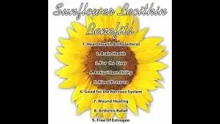 Sunflower Lecithin Benefits Explained | What Happens When You Take It Daily