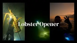 SCUBA DIVING || California Lobster Opener