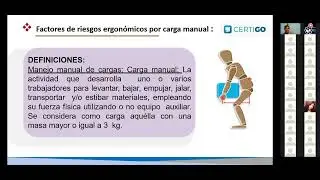 WEBINAR NOM-036-1-STPS-2018 Ergonomía