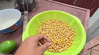 gilbaka curry afternoon