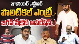 Jr NTR Political Entry: జూనియర్ ఎన్టీఆర్ పొలిటికల్ ఎంట్రీ..? | YS Jagan | CM Chandrababu | Wild Wolf