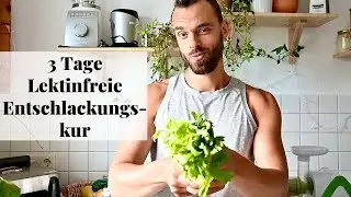 Lektinfreie Ernährung Phase 1 nach Dr. Gundry | Erfahrungsbericht Vlog | Entschlackungskur für Darm