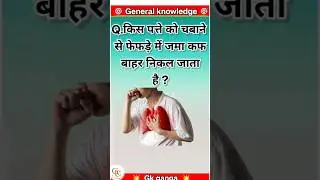 Gk Questions please subscribe#comment #suscribe #support #shorts #share #viralvideo