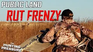 CHASING BUCKS DOWN?! Public Land Bowhunting