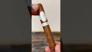 CIGAR ASMR | 🔥💨 Davidoff Millennium 🍂 #shorts #asmr #cigars #cigarsociety