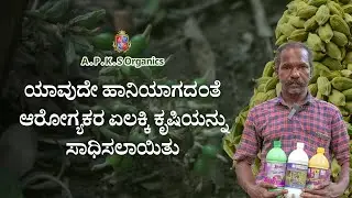 [ KANNADA ] Cardamom Farmer Mr. James from Ezhukumvayal Shares His Results!
