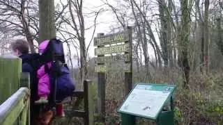 WildWalks - record your local wildlife with The Wildlife Trusts