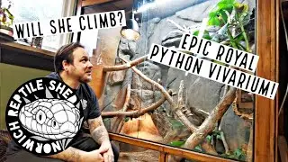 Epic Royal/Ball Python Vivarium - Did it work?! #ballpython #royalpython