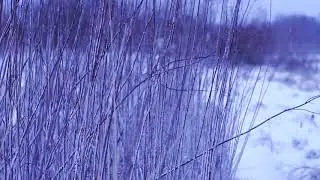 14012019