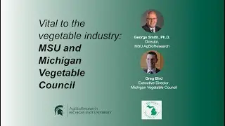 MSU AgBioResearch Podcast - Michigan ag leaders discuss vegetable research