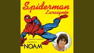 Spiderman l'araign&eacute;e