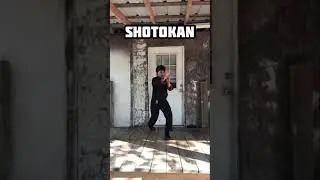 Different Karate Styles