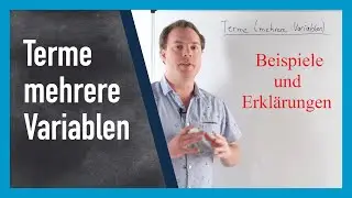 Terme mit mehreren Variablen vereinfachen | www.gut-erklärt.de