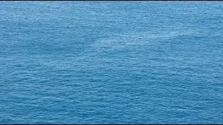 Calm Ocean Surface 🌊 | 1 Hour Ambient Music for Focus & Relaxation