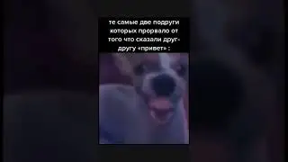 мем