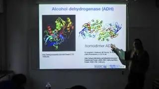 Protein Prediction 2 for Computer Scientists - Lecture 2 