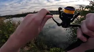 Ultralight fishing on a beautiful evening at a Cook County Forest Preserve!