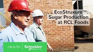 Модернизация и цифровая трансформация завода RCL Foods&nbsp;с IoT EcoStruxure&trade; от Schneider Electric