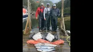 Alaska Halibut at Tanaku Lodge Episode 3