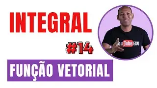 INTEGRAL DE FUNÇÕES VETORIAIS ✅ 14