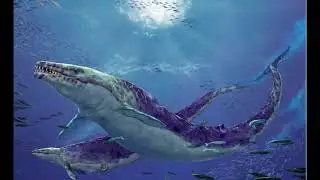 This extinct whale was Terrifying!