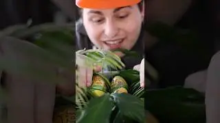 Завершаю свою коллекцию фигурок Bitty Pop по мотивам &laquo;Парка Юрского периода&raquo;!