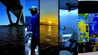 Carolina Rig Time offshore action