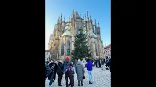 Germany Nurse Jobs Free Recruitment #abroadinformation