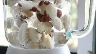 My New Roots - How to Make Nut Milk