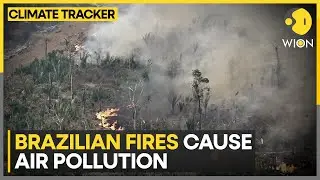 Brazilian forest fires cause toxic air pollution | WION Climate Tracker