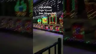 🎄Hey hey hey don&rsquo;t miss this #MiniatureTrain ride 😅 at #SanDiegoZoo $4