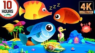 Mozart & Brahms Lullabies 💤 Baby Sleep Music to Fall Asleep Fast & Beat Insomnia#272