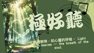 (極好聽)光穿過樹梢，如心靈的呼吸。  Light through leaves — the breath of the soul.