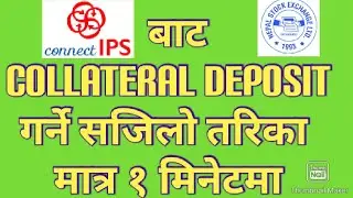 Connect IPS बाट TMS मा COLLATERAL load गर्ने सजिलो तरिका| How to load Collateral from connect IPS