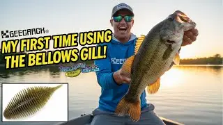 First Time Using the Bellows Gill and it Landed some Nice Bass!